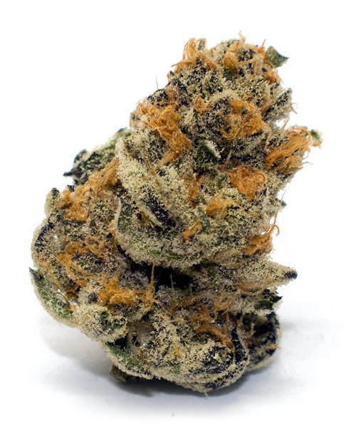 Order Platinum Girl Scout Cookies Weed Strain UK